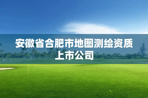 安徽省合肥市地圖測(cè)繪資質(zhì)上市公司