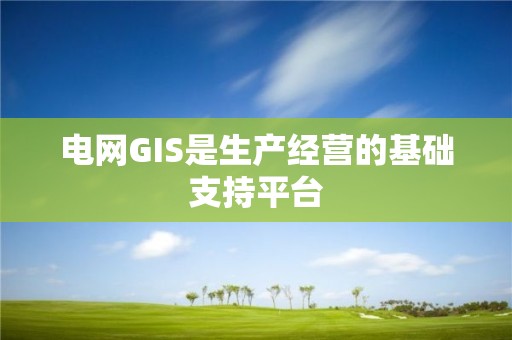 電網GIS是生產經營的基礎支持平臺