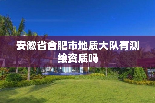 安徽省合肥市地質(zhì)大隊有測繪資質(zhì)嗎