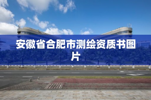 安徽省合肥市測繪資質書圖片