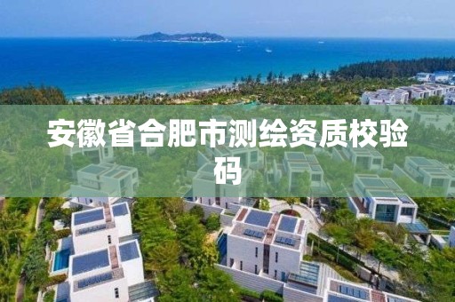 安徽省合肥市測繪資質校驗碼