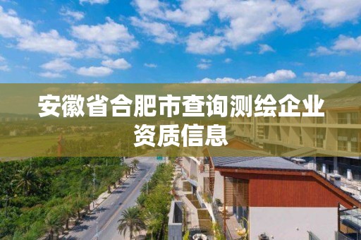 安徽省合肥市查詢測繪企業資質信息