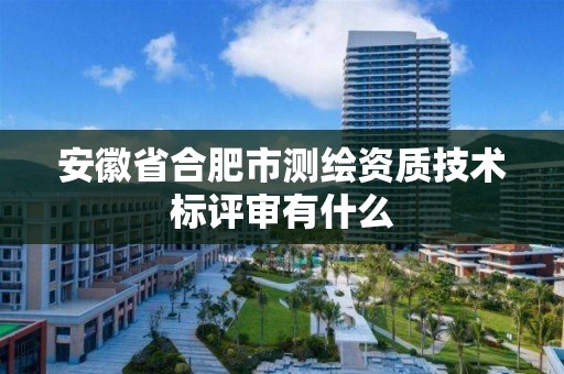 安徽省合肥市測繪資質技術標評審有什么