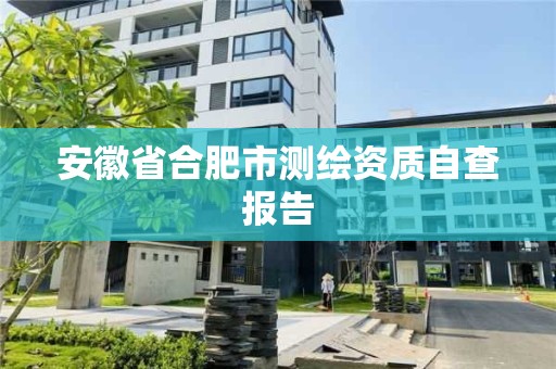 安徽省合肥市測繪資質自查報告