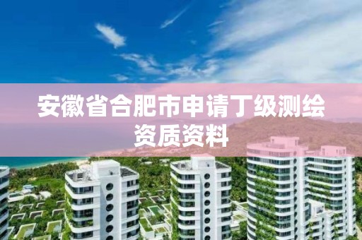 安徽省合肥市申請丁級測繪資質(zhì)資料