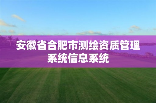 安徽省合肥市測繪資質管理系統信息系統