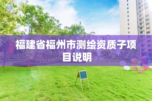 福建省福州市測繪資質子項目說明