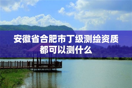 安徽省合肥市丁級測繪資質都可以測什么