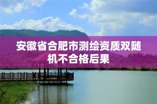 安徽省合肥市測繪資質雙隨機不合格后果