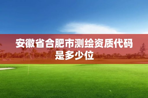 安徽省合肥市測繪資質代碼是多少位