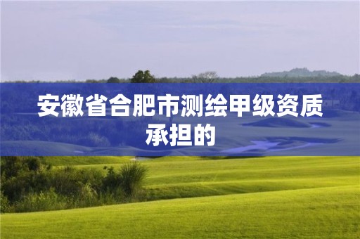 安徽省合肥市測(cè)繪甲級(jí)資質(zhì)承擔(dān)的