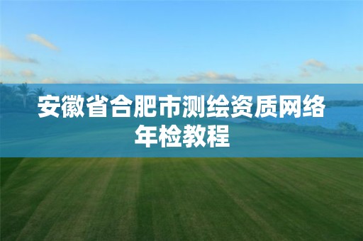 安徽省合肥市測繪資質網絡年檢教程