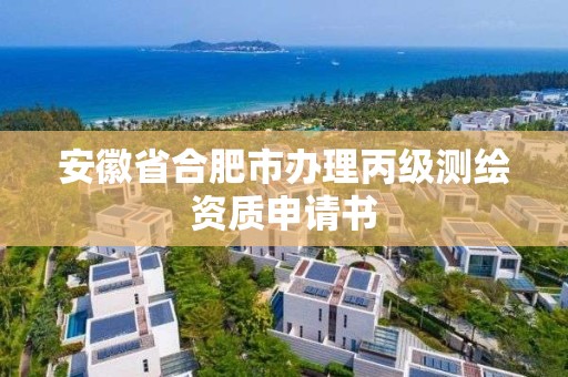 安徽省合肥市辦理丙級測繪資質申請書