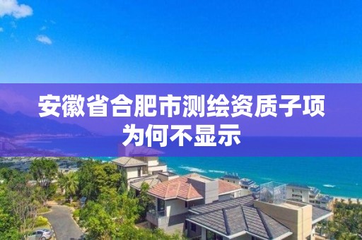 安徽省合肥市測繪資質子項為何不顯示