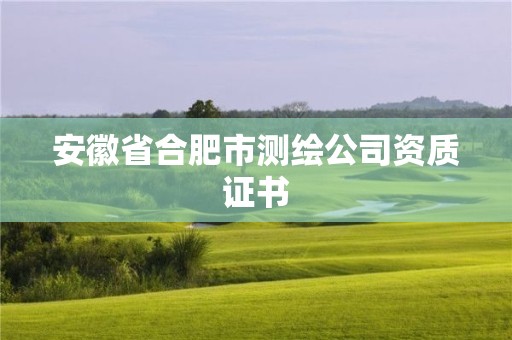 安徽省合肥市測繪公司資質(zhì)證書