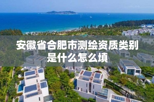 安徽省合肥市測繪資質(zhì)類別是什么怎么填