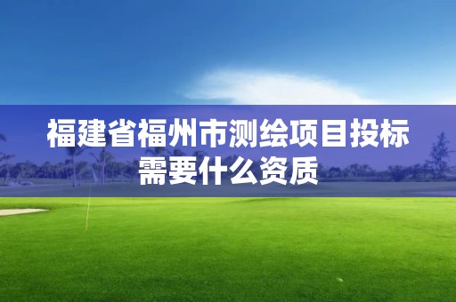 福建省福州市測繪項目投標需要什么資質