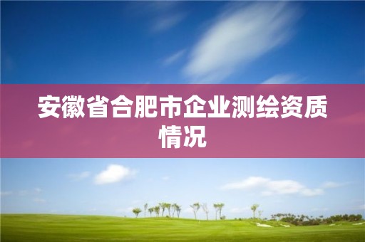 安徽省合肥市企業(yè)測繪資質(zhì)情況