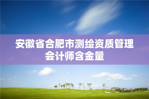 安徽省合肥市測(cè)繪資質(zhì)管理會(huì)計(jì)師含金量