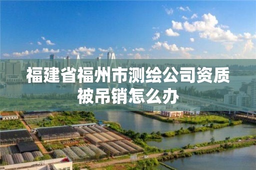 福建省福州市測繪公司資質被吊銷怎么辦