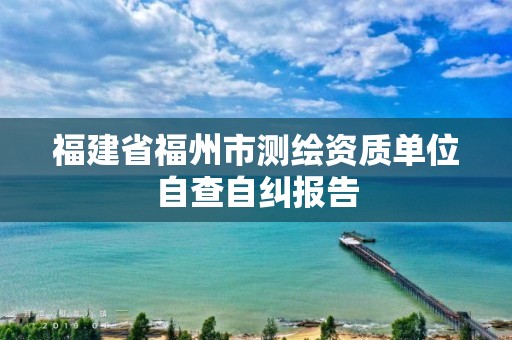 福建省福州市測繪資質單位自查自糾報告