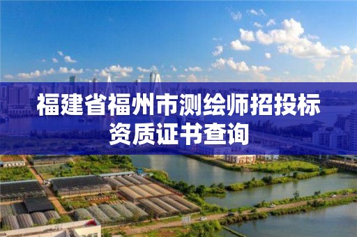 福建省福州市測繪師招投標資質證書查詢