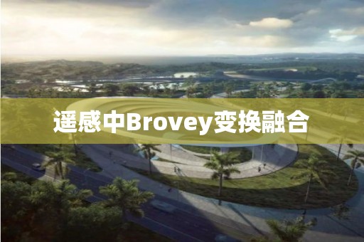 遙感中Brovey變換融合