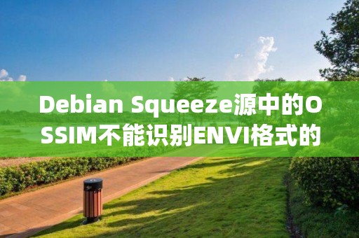 Debian Squeeze源中的OSSIM不能識(shí)別ENVI格式的影像