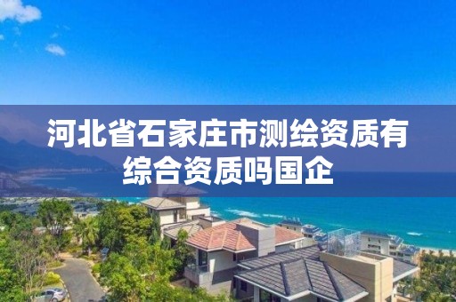 河北省石家莊市測繪資質有綜合資質嗎國企