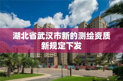 湖北省武漢市新的測繪資質新規定下發