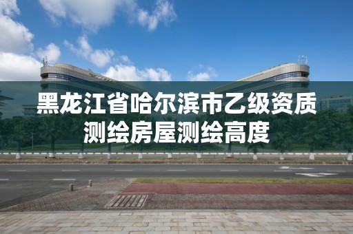 黑龍江省哈爾濱市乙級資質測繪房屋測繪高度