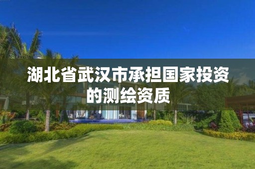 湖北省武漢市承擔國家投資的測繪資質