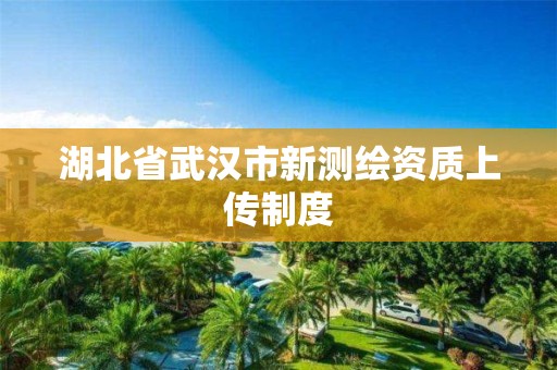 湖北省武漢市新測繪資質上傳制度