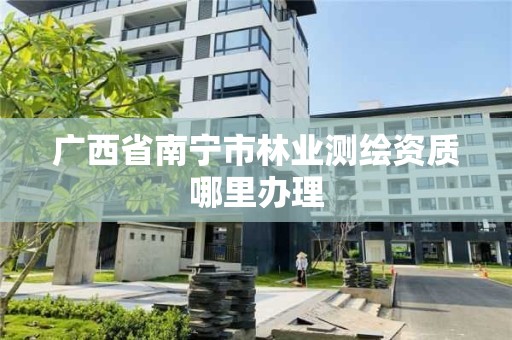 廣西省南寧市林業測繪資質哪里辦理