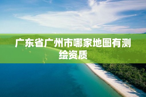 廣東省廣州市哪家地圖有測繪資質