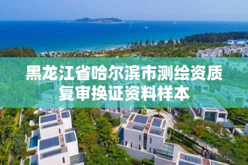 黑龍江省哈爾濱市測繪資質復審換證資料樣本