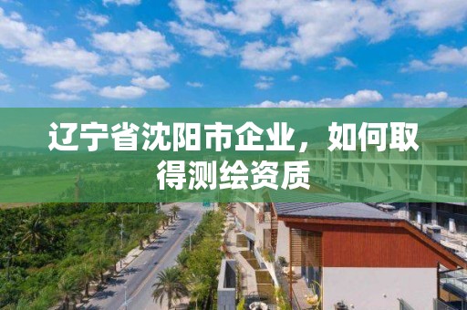 遼寧省沈陽市企業，如何取得測繪資質