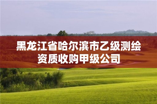 黑龍江省哈爾濱市乙級測繪資質收購甲級公司