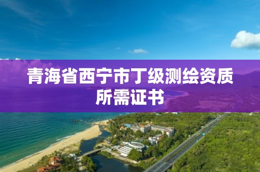 青海省西寧市丁級測繪資質所需證書