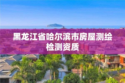 黑龍江省哈爾濱市房屋測繪檢測資質