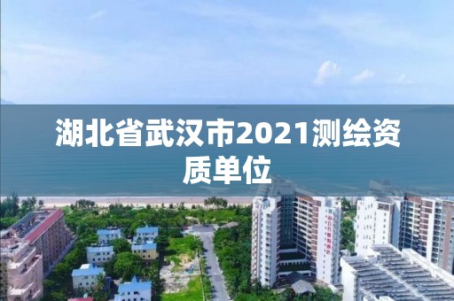 湖北省武漢市2021測繪資質單位