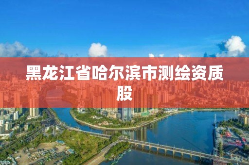 黑龍江省哈爾濱市測繪資質股