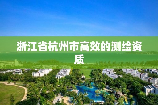 浙江省杭州市高效的測繪資質