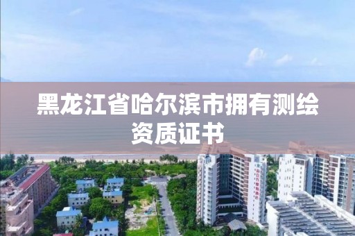 黑龍江省哈爾濱市擁有測繪資質(zhì)證書