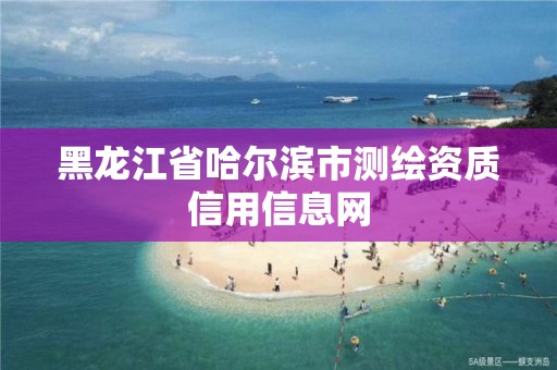 黑龍江省哈爾濱市測繪資質信用信息網