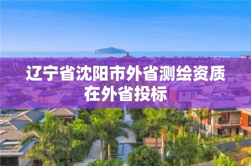 遼寧省沈陽市外省測繪資質在外省投標