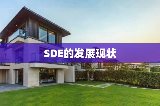 SDE的發(fā)展現狀