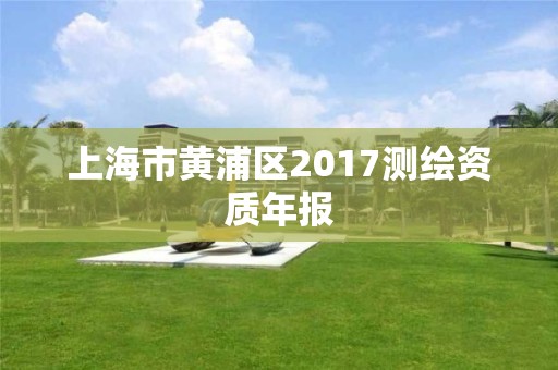 上海市黃浦區2017測繪資質年報