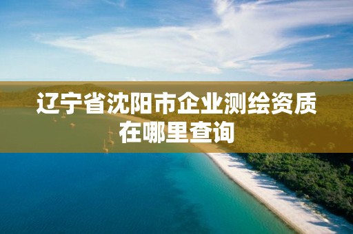 遼寧省沈陽市企業(yè)測繪資質在哪里查詢