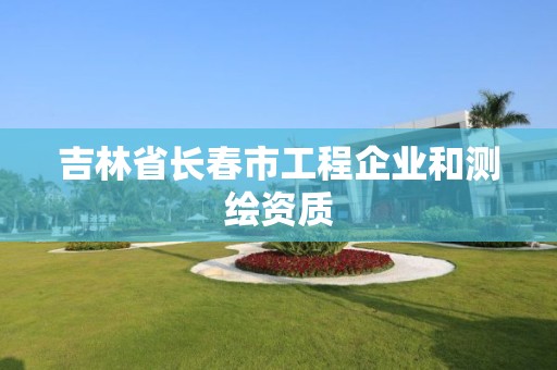 吉林省長春市工程企業(yè)和測繪資質